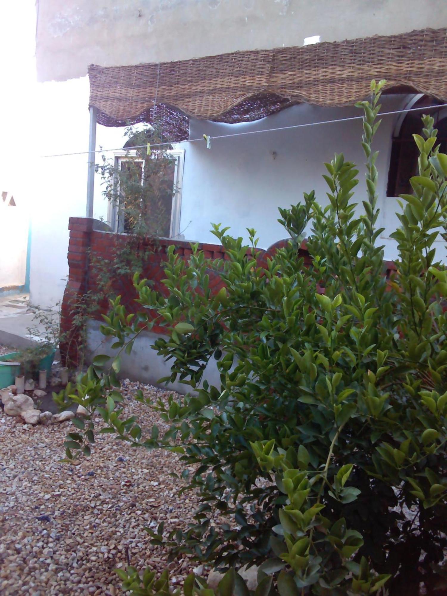Apartamento Adam And Eve House Luxor Exterior foto